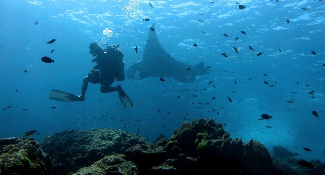 Koh Lanta Diving